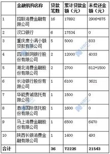 持牌贷款机构