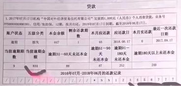 小额贷款公司倒闭了怎么还钱