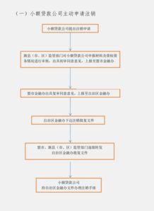 小额信贷公司怎么审批