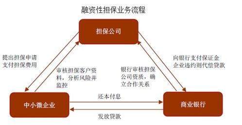 融资性担保公司贷款