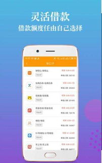 百分百通过审核的贷款app